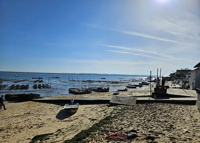 Camping Mobilhome Neuf 2025 Ombragé Cap Ferret Lège-Cap-Ferret