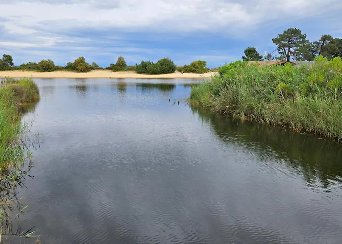 Camping Mobilhome Neuf 2025 Ombragé Cap Ferret Lège-Cap-Ferret